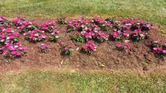 destke-tabory-sindibad-051