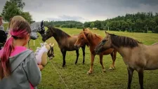 hobby-horsing-tabor-033
