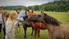 hobby-horsing-tabor-034