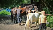 hobby-horsing-tabor-040