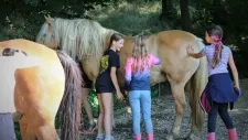 hobby-horsing-tabor-042
