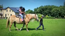 hobby-horsing-tabor-044