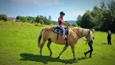 hobby-horsing-tabor-046