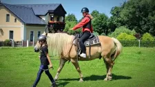 hobby-horsing-tabor-048