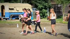hobby-horsing-tabor-053