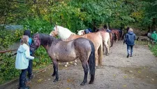 kone-vikend-110