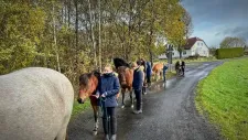 kone-vikend-021