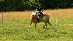 destke-tabory-sindibad-109