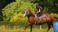 destke-tabory-sindibad-110