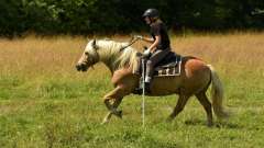 destke-tabory-sindibad-111