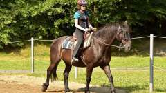 destke-tabory-sindibad-113