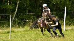 destke-tabory-sindibad-118