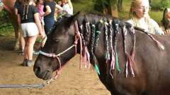 destke-tabory-sindibad-119