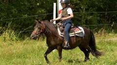 destke-tabory-sindibad-123