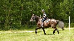 destke-tabory-sindibad-124