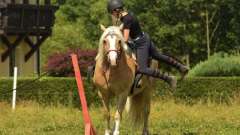 destke-tabory-sindibad-129