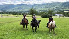 destke-tabory-sindibad-136