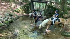 destke-tabory-sindibad-137