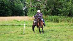 destke-tabory-sindibad-105
