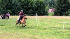destke-tabory-sindibad-106