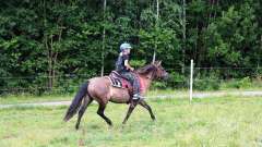 destke-tabory-sindibad-108