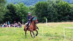 destke-tabory-sindibad-111