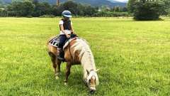 destke-tabory-sindibad-120