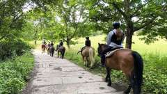 destke-tabory-sindibad-123
