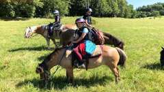 destke-tabory-sindibad-125