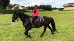 destke-tabory-sindibad-126