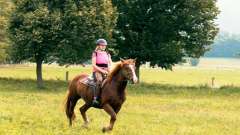 destke-tabory-sindibad-132