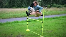 hobby-horsing-tabor-010