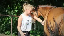 hobby-horsing-tabor-042