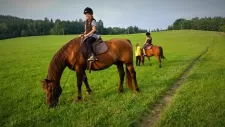konsky-tabor-308
