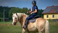 konsky-tabor-311
