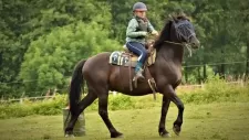 konsky-tabor-328