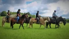 konsky-tabor-350