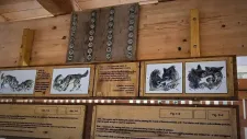 sumava-023