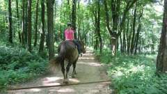 detske-tabory-sindibad-012