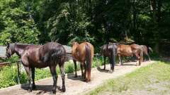 detske-tabory-sindibad-055