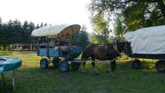 detske-tabory-sindibad-081