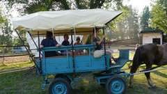 detske-tabory-sindibad-082