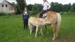 detske-tabory-sindibad-075