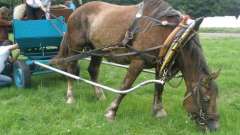detske-tabory-sindibad-079