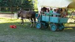 detske-tabory-sindibad-002