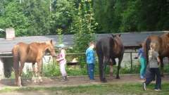 detske-tabory-sindibad-029