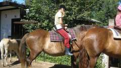 detske-tabory-sindibad-070
