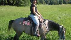 detske-tabory-sindibad-081