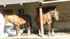 detske-tabory-sindibad-089