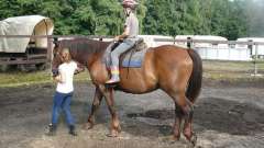 detske-tabory-sindibad-010
